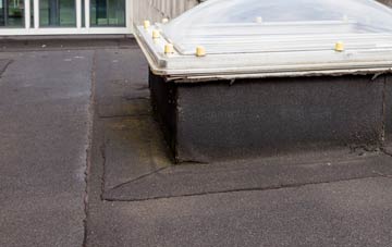 disadvantages of Trewethen flat roofs